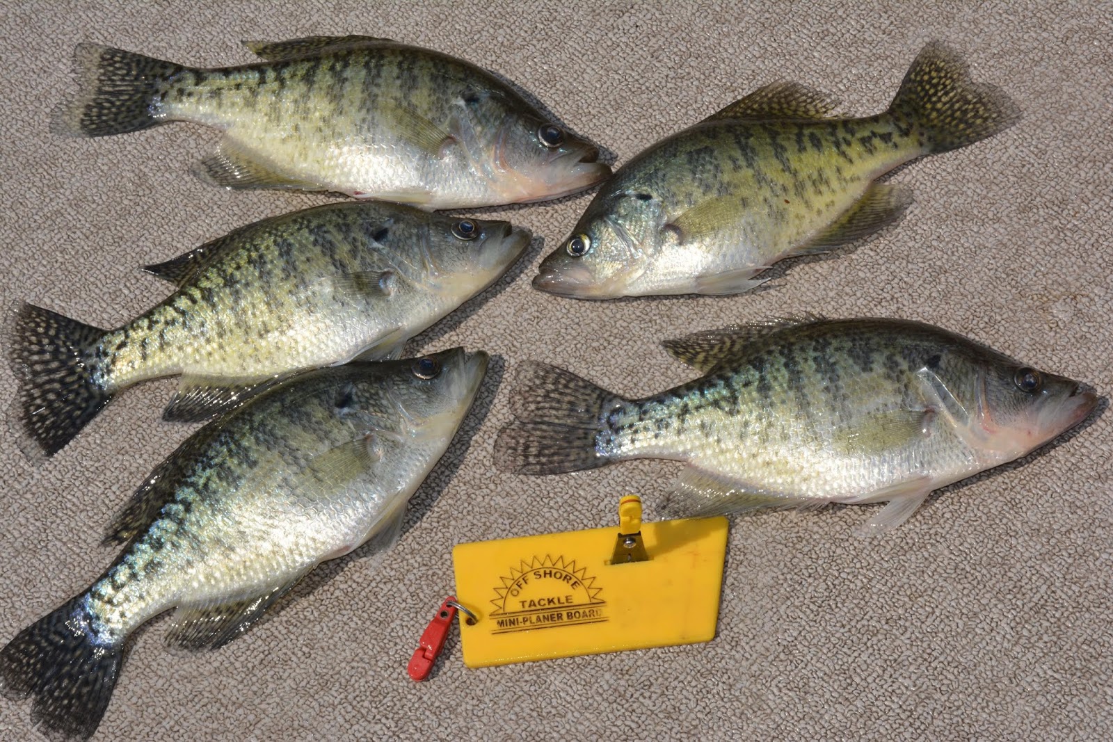 The "411 On Fishing" Mark's Mailbag New To Using