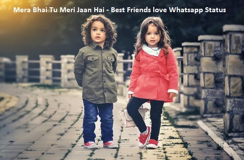 Mera Bhai Tu Meri Jaan Hai - Best Friends love Whatsapp Status Video Download free