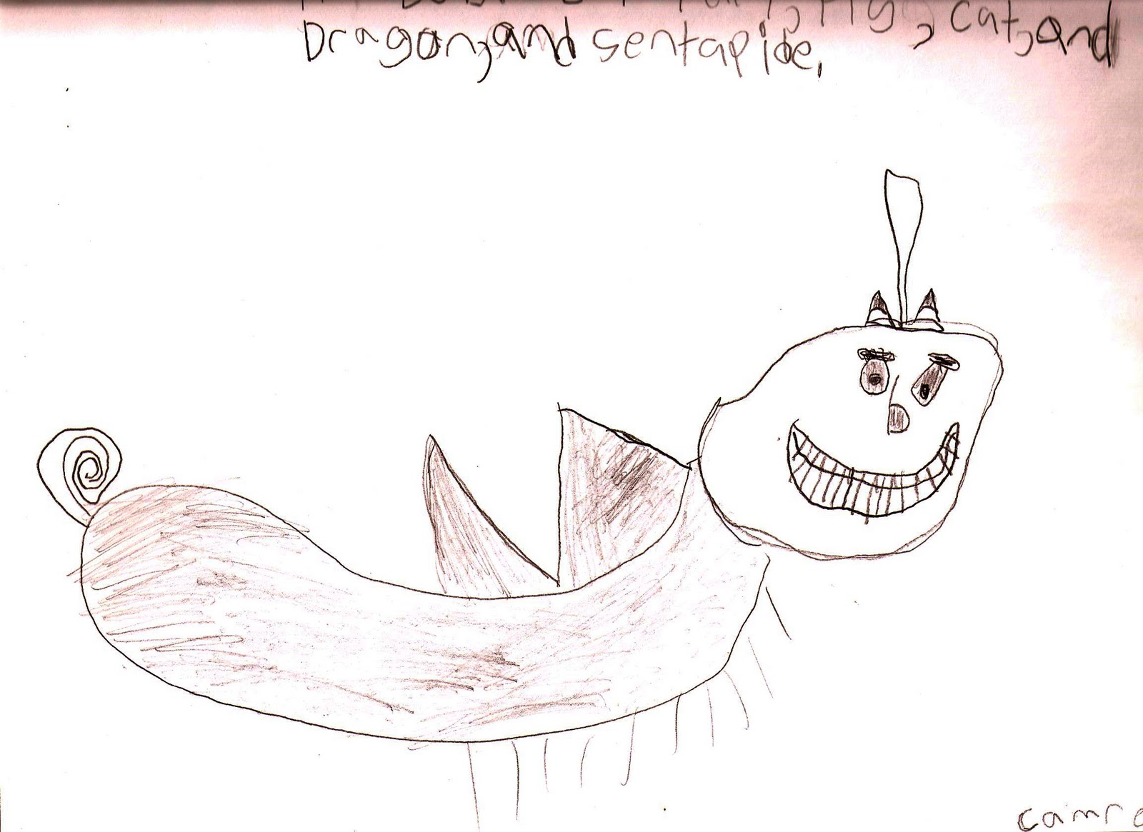Norwich Public Art: Imaginary Animal Drawings