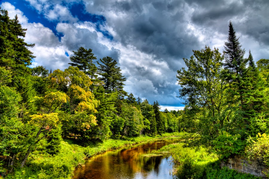 Adirondack Photography Upper North Branch of the Moose River