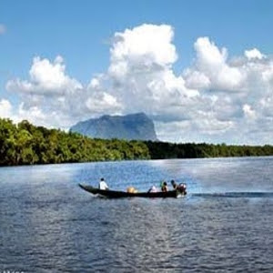 Venezuela y Variedad MUNICIPIO ALTO ORINOCO, EDO AMAZONAS, VENEZUELA