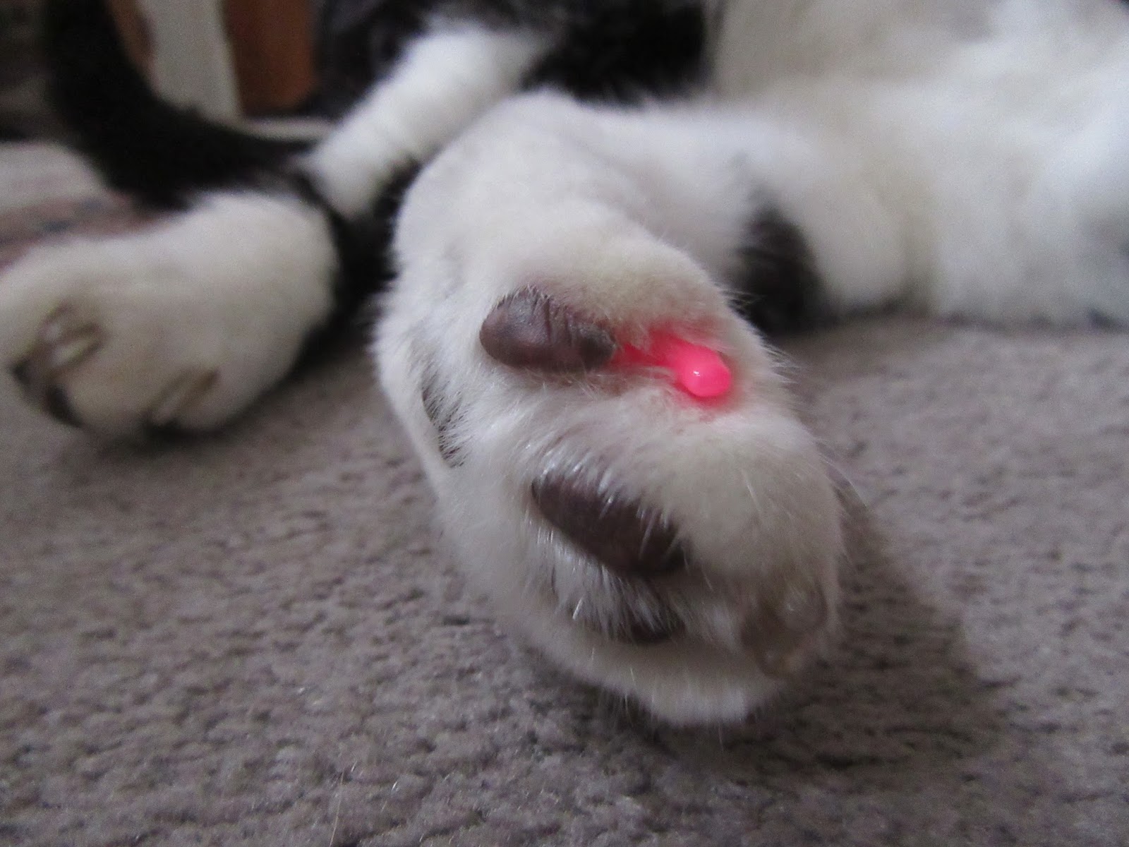 Bld In Mt Living A Simple Life In This Interconnected World