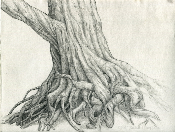 Twisted-Roots_s.jpg