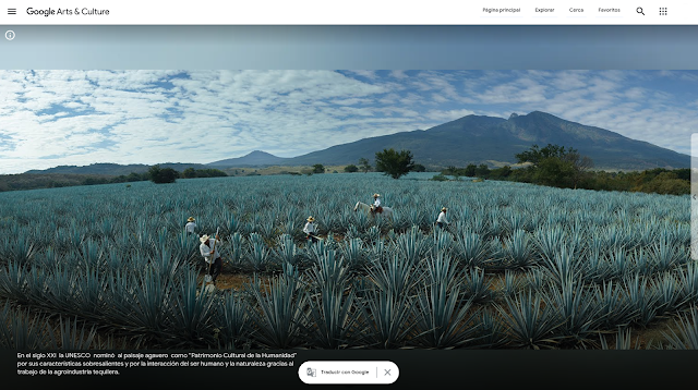 Agaveros trabajando en los campos de tequila, en el estado de Jalisco, México.