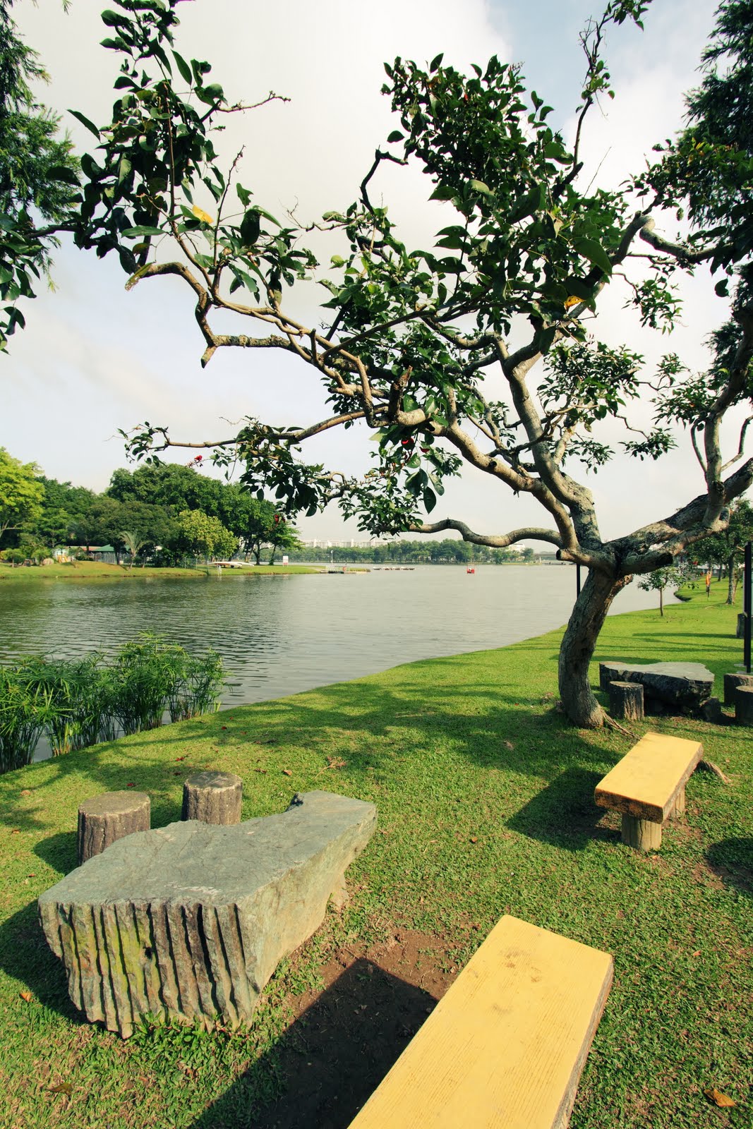 Chinese & Japanese Garden