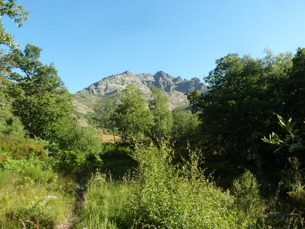 CURAVACAS, 2.524m (La montaña verdinegra) P1210899%2B%2528FILEminimizer%2529