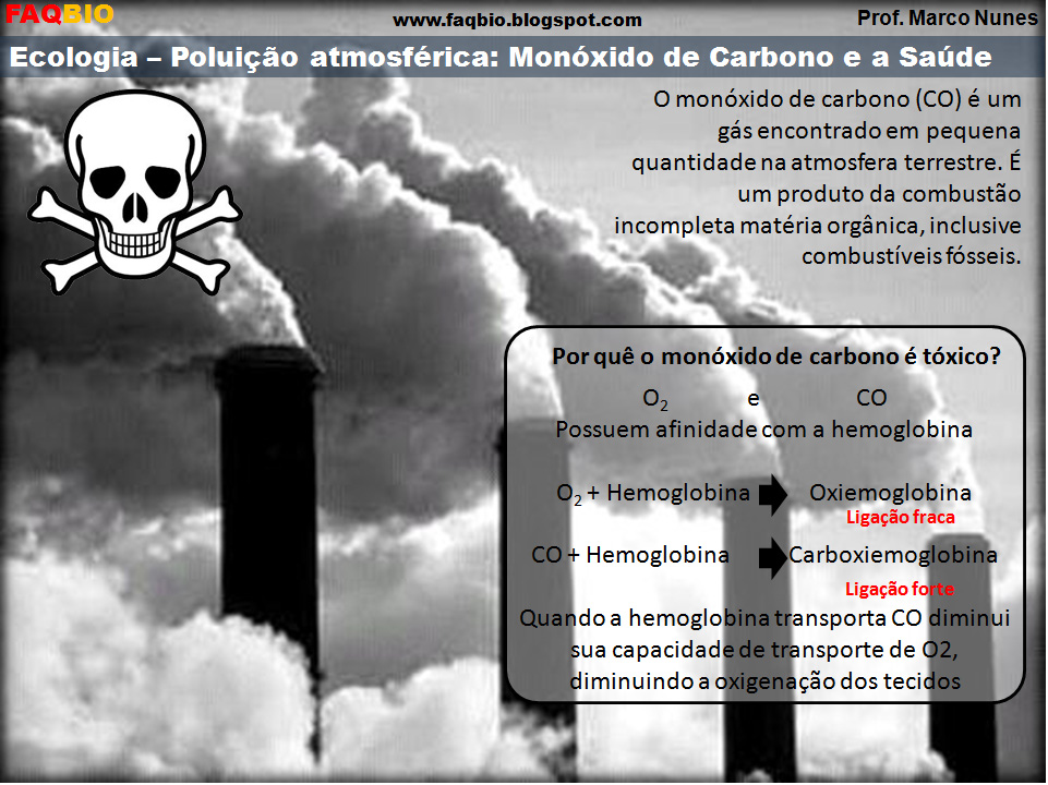 FAQBIO Apoio ao Estudo de Biologia Ficha Resumo Ecologia poluição atmosférica Monóxido de FAQBIO Apoio ao Estudo de Biologia Ficha Resumo Ecologia poluição atmosférica Monóxido de