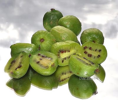 Kiwibeere (Actinidia arguta)
