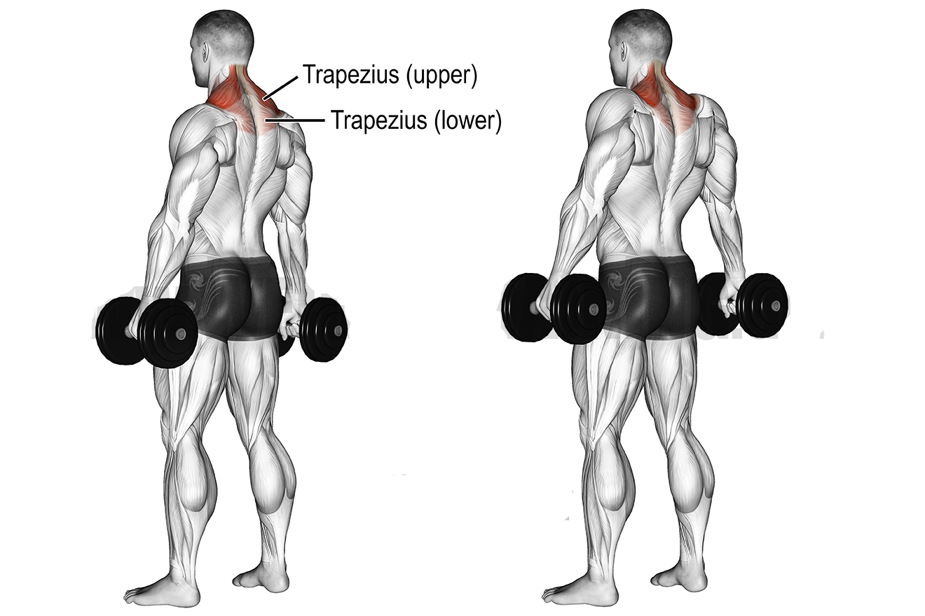 How To Do Proper Upper Chest Workout 7 Best Upper Chest Exercises