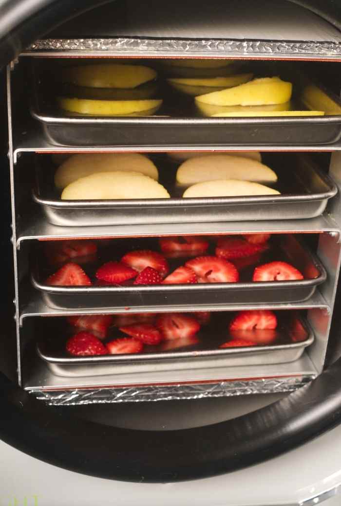 How to Make Freeze Dried Fruit at Home Homesteading in Ohio