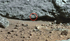 mars fossil