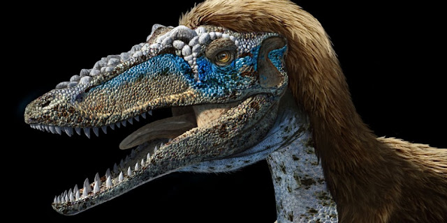 Qianzhousaurus sinensis, aka Pinocchio rex