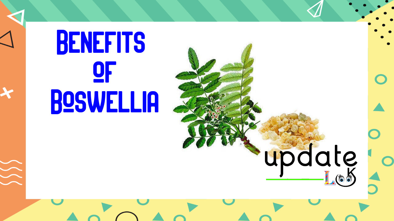 Benefits of Boswellia