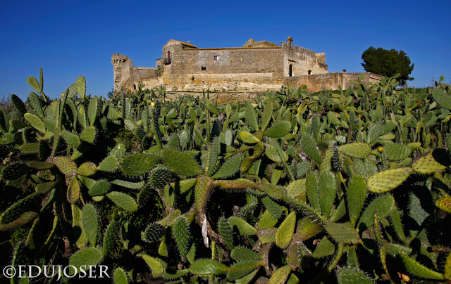 EDUJOSER CASTILLO DE MARCHENILLA (Sevilla)