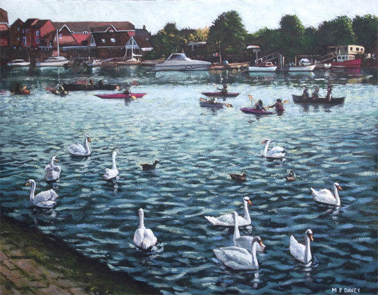 swans and boats at southampton riverside park