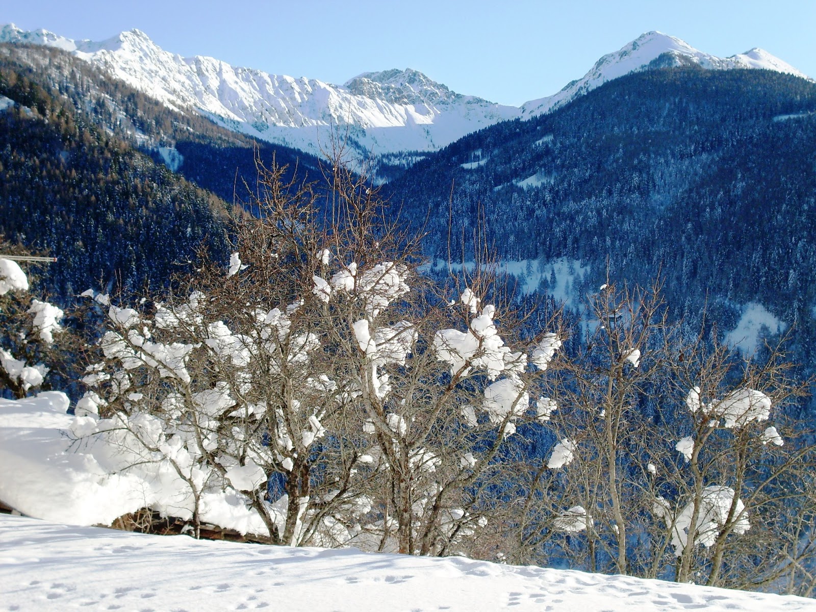 Valle dei Mòcheni Bersntol Fersental TrentinoNEVICA IN VALLE DEI MOCHENI... Valle dei Mòcheni Bersntol Fersental TrentinoNEVICA IN VALLE DEI MOCHENI...