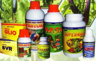 Agen Metarhizium (Untuk Mengatasi Ulat Dan Sebagainya) Agen Metarhizium (Untuk Mengatasi Ulat Dan Sebagainya)