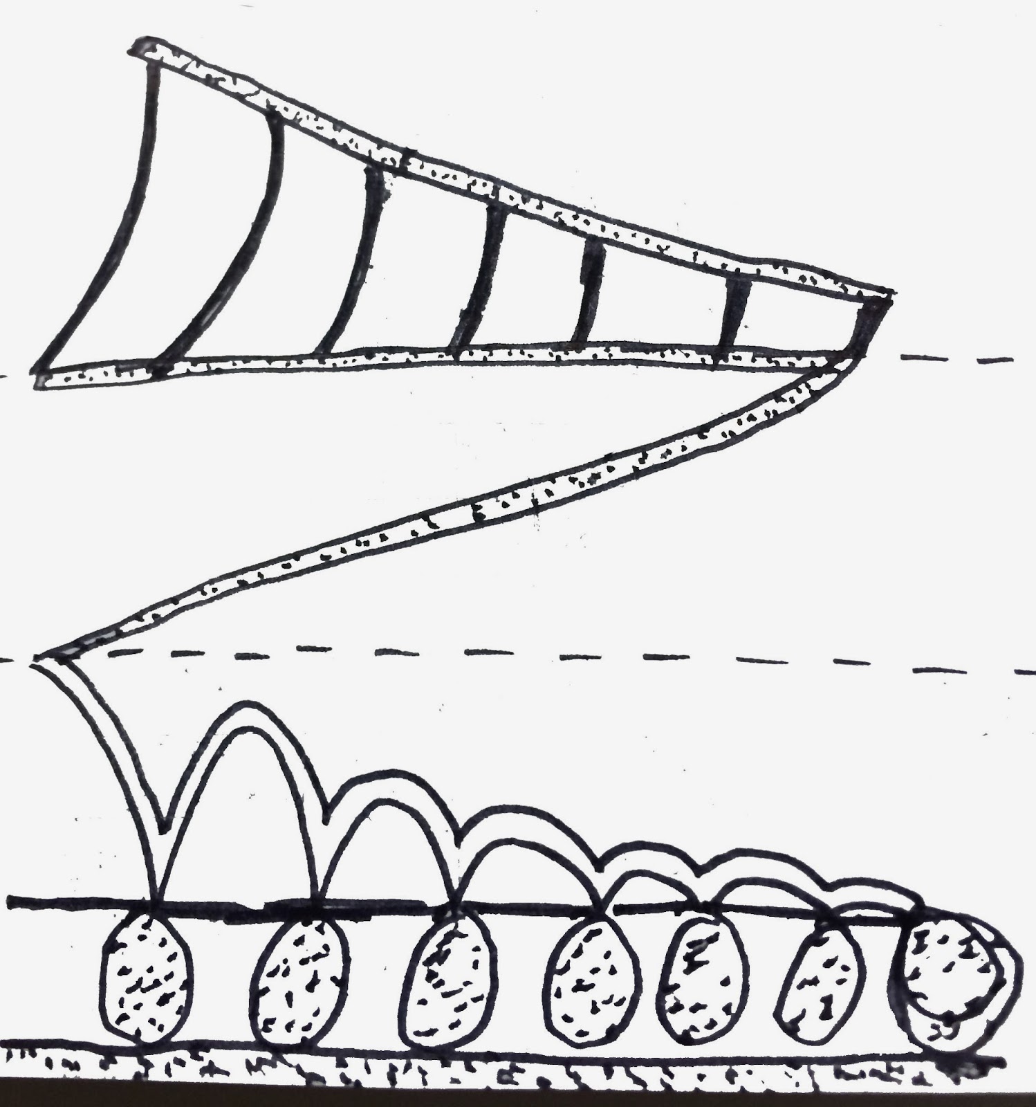 ARCH1101: My second section