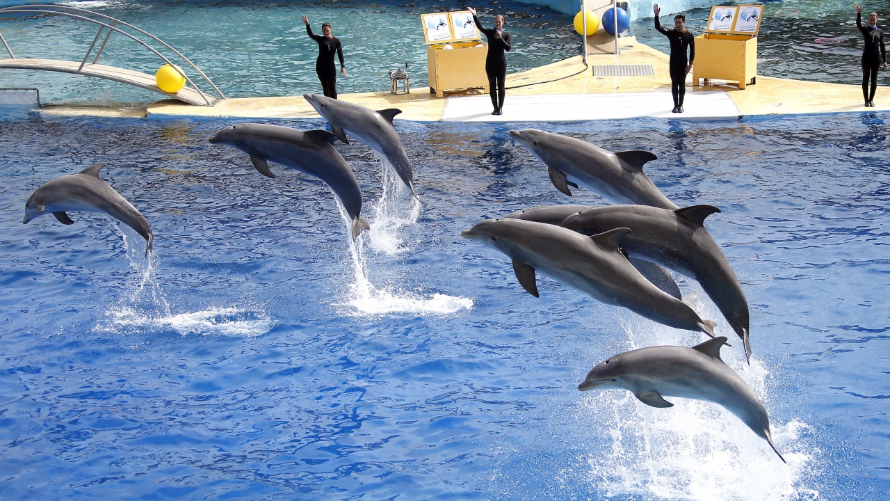 バトシェバ・シャーマン:「死霊館」の殺人魔女の実話