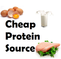 Makanan Tinggi protein