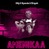 Download Audio :Killy X Nyanda X Singah - AMENIKAA