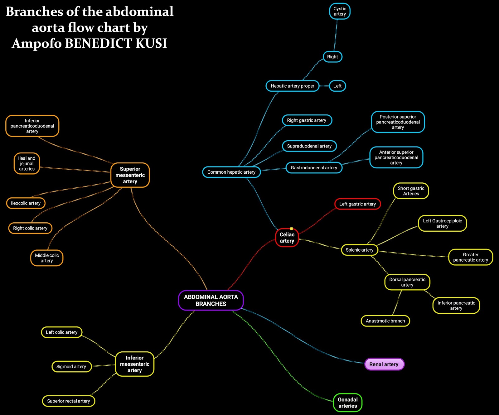 Medicowesome Submissions Branches Of The Abdominal Aorta Flow Chart