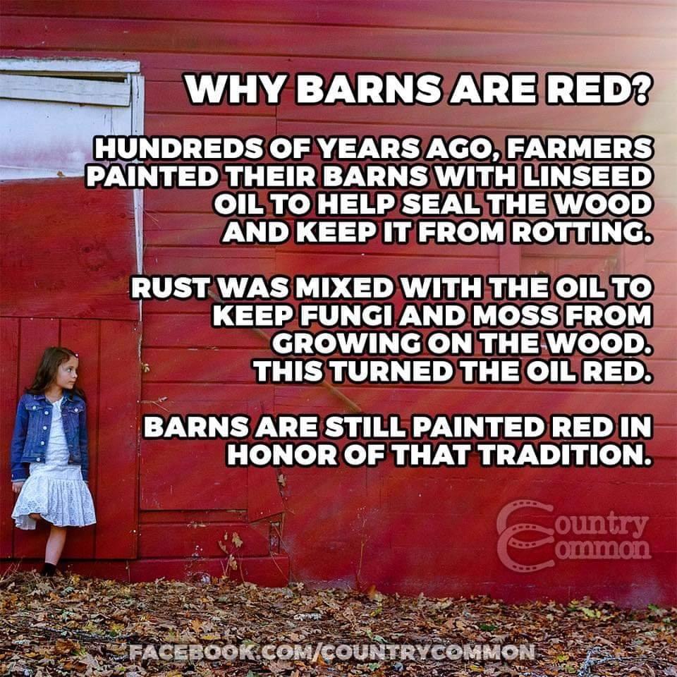 Salisbury News Why Barns Are Red