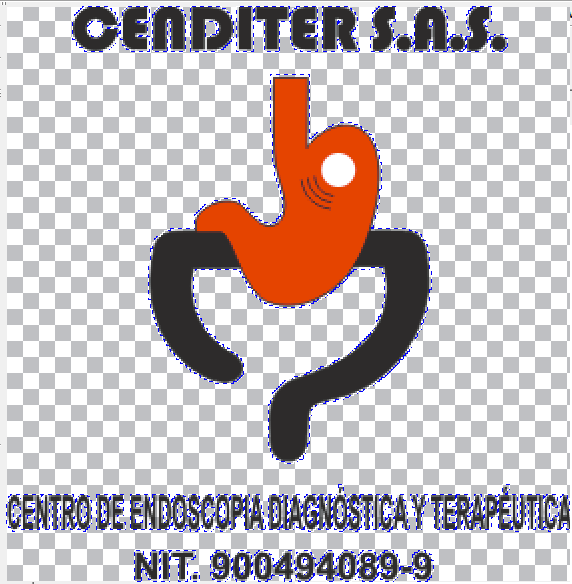 CENDITER SAS CENTRO DE ENDOSCOPIA DIAGNOSTICA Y TERAPEUTICA: 2012
