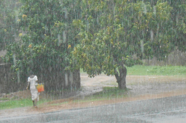 Sadekausi Gambiassa