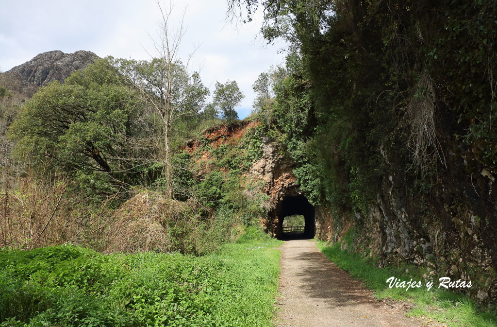 Senda del oso, Asturias