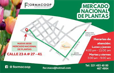 nueva sede mercado nacional de plantas de Bogotá, horarios y mapa