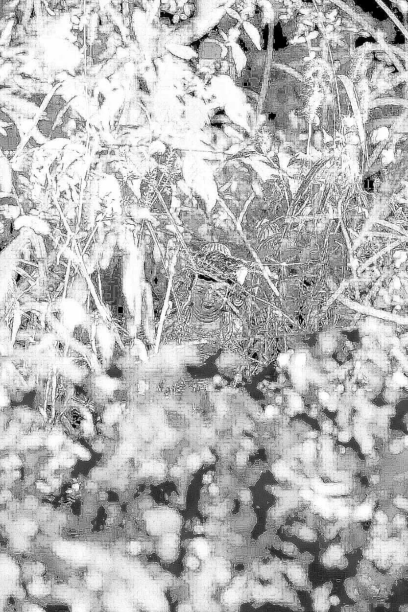 삼각산 화계사 삼각산 화계사