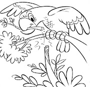 Desenho de Passarinhos Para Colorir (desenho de papagaio para colorir desenhos infantil de animais)