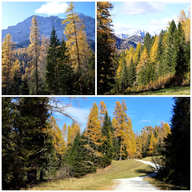 escursioni trekking val di zoldo