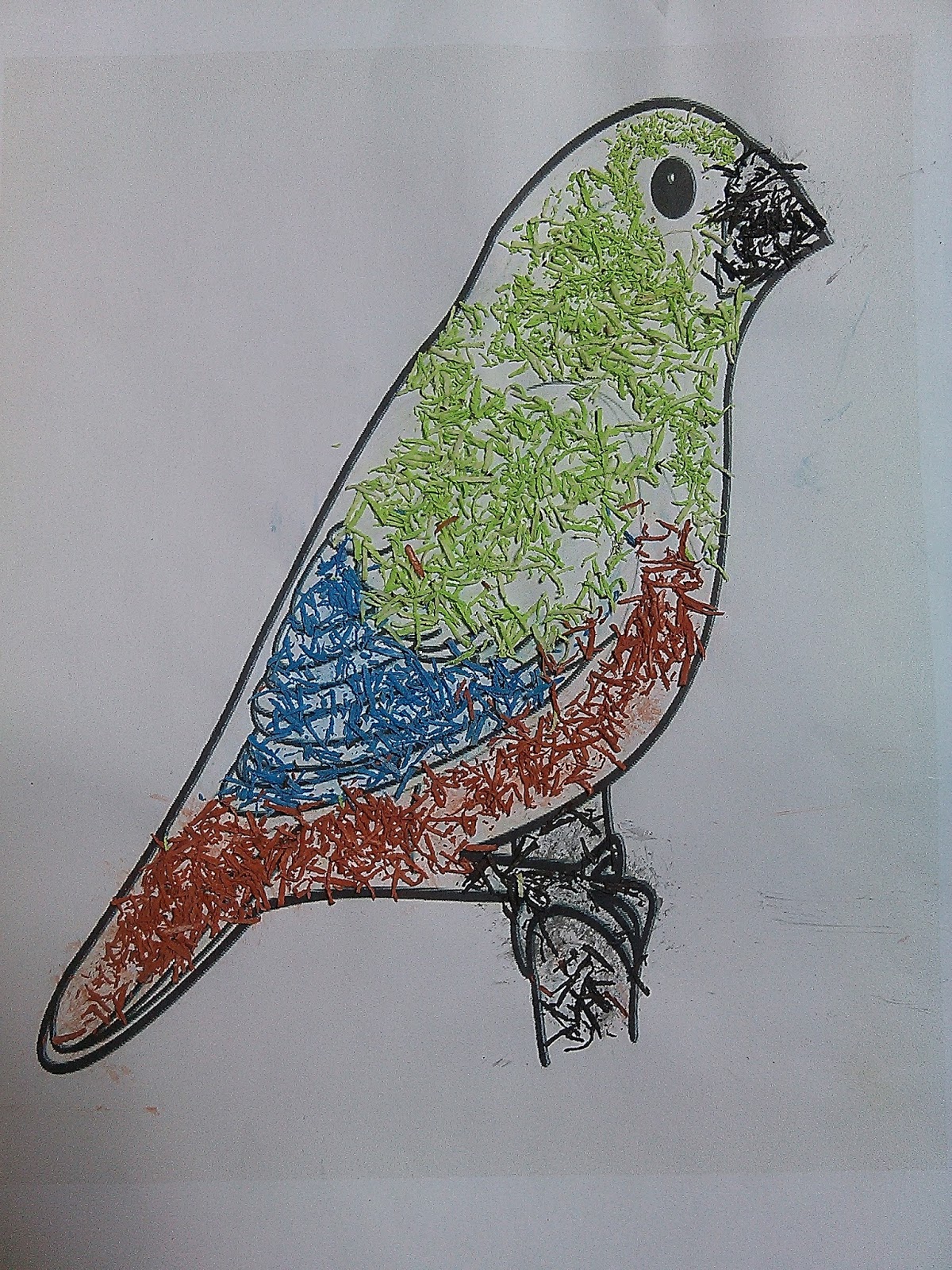 Gambar Kolase Burung Untuk Anda Gratis