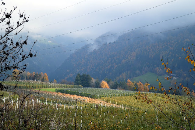 sentiero della mela naz sciaves