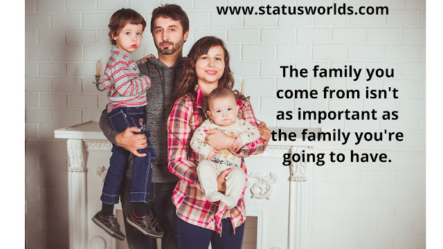 Family Status And Quotes