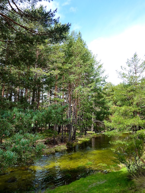 Rio Tormes en Gredos