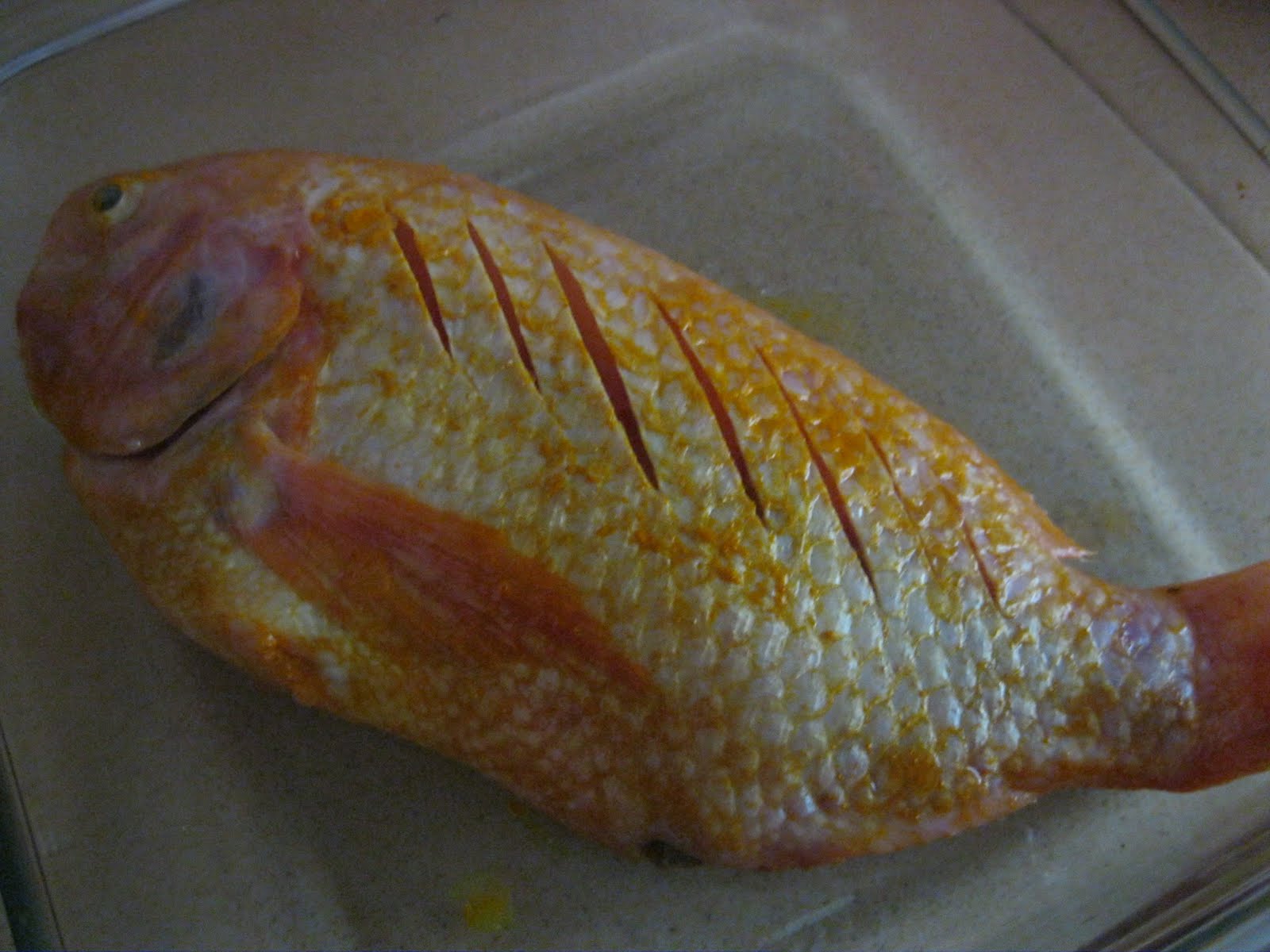 Dari Dapur Maklong: Ikan Tilapia Merah Goreng Berlada