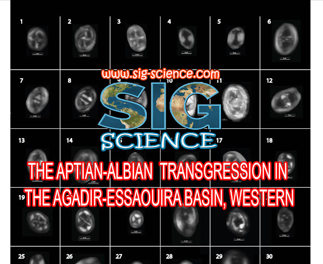 THE APTIAN-ALBIAN TRANSGRESSION IN THE AGADIR-ESSAOUIRA BASIN, WESTERN