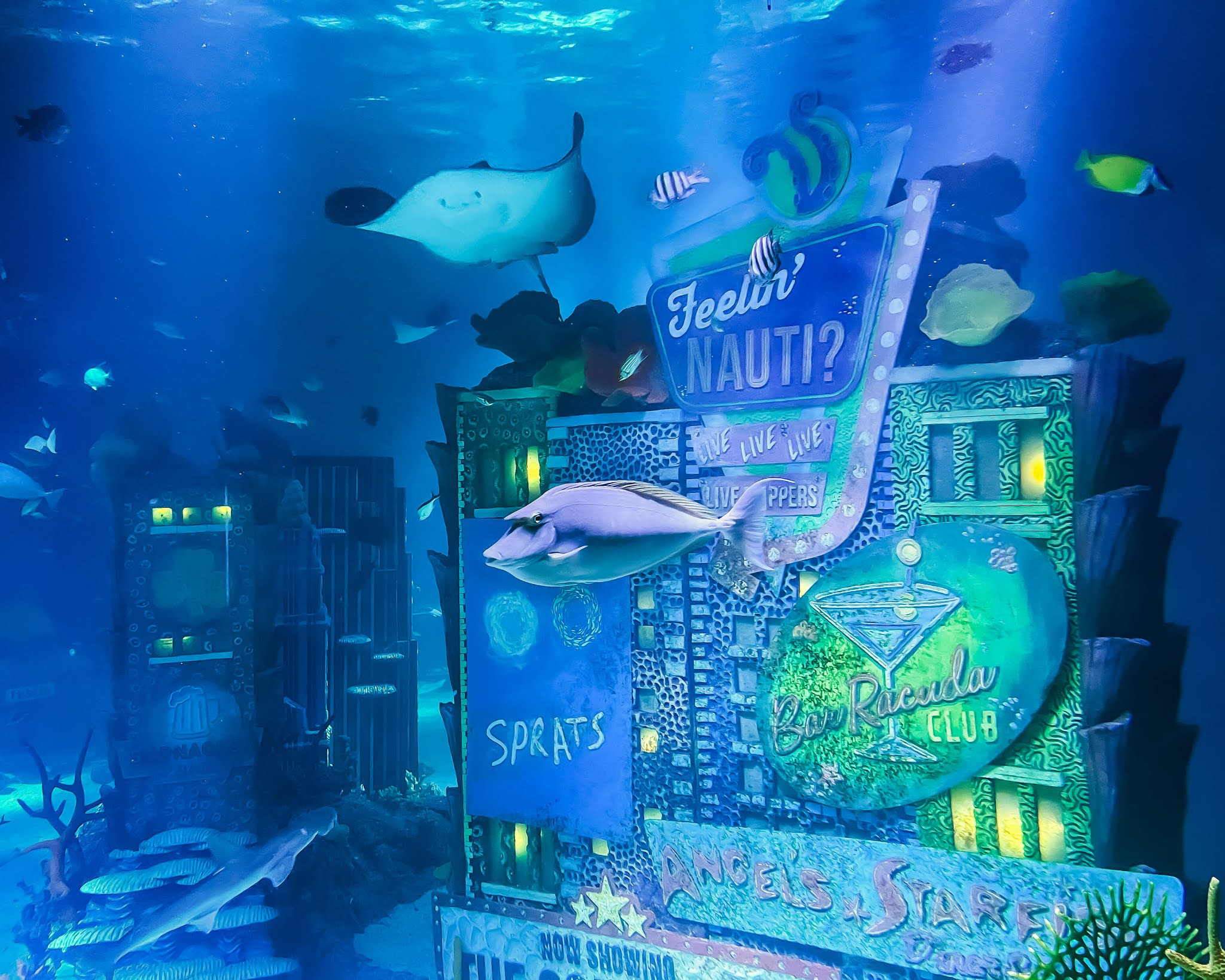 New Jersey SEA LIFE Aquarium and LEGOLAND Discovery Center New Jersey