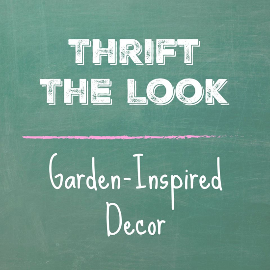 DIY Indoor Cactus Garden - Thrift the Look