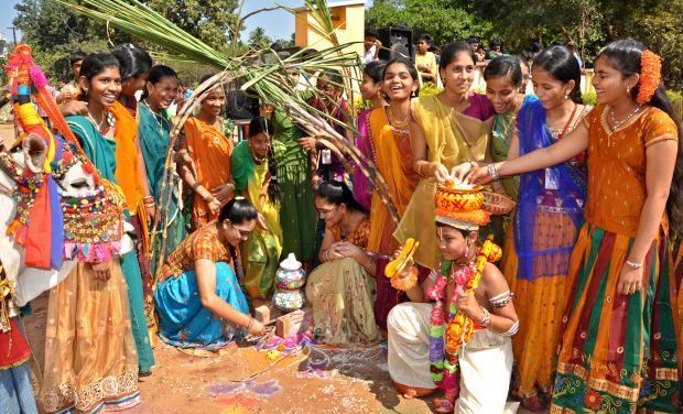 Bhogi, Sankranthi, kanuma festivals