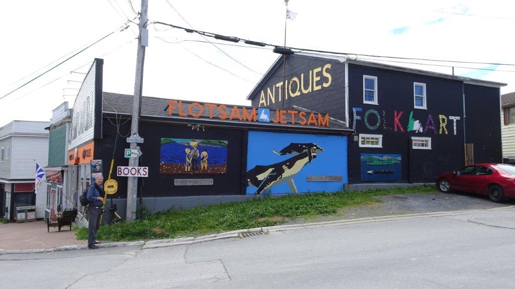 Gaznjo's World Adventure 2018 Sea Princess 36c Corner Brook