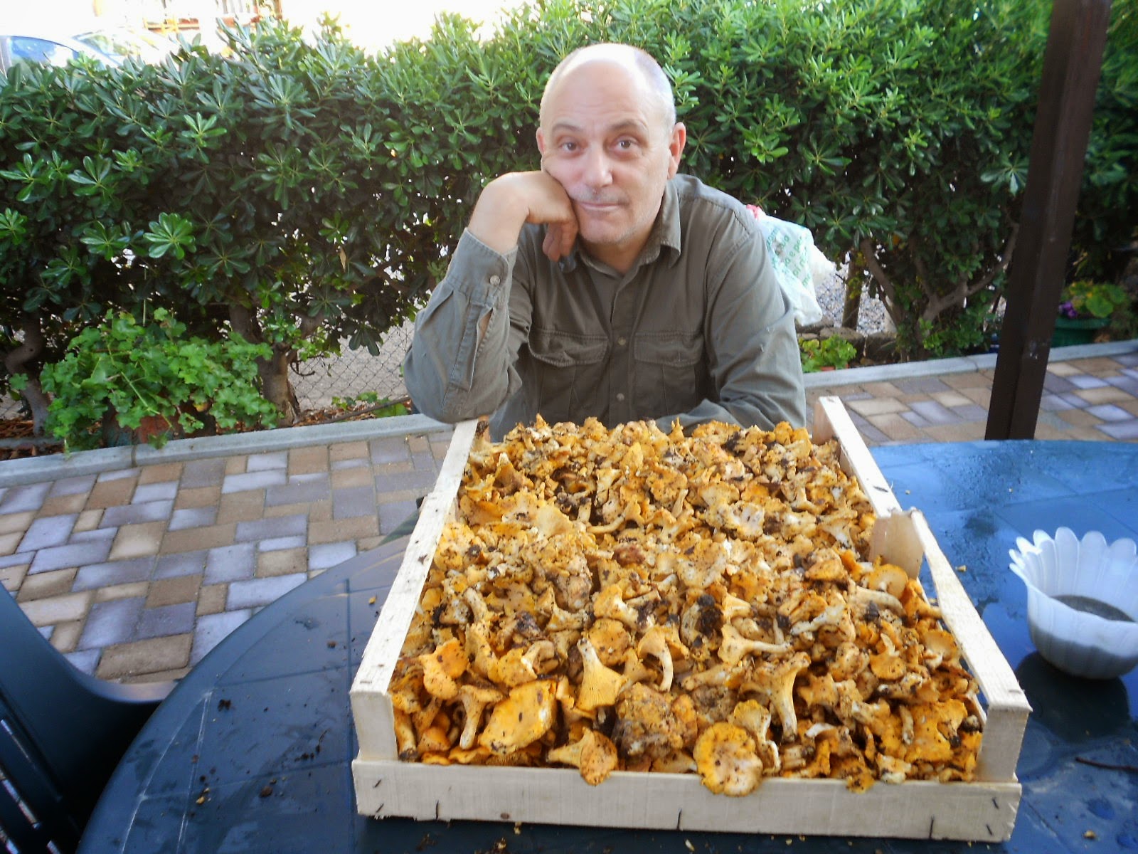SENSAZIONE NATURA RACCOLTA FUNGHI