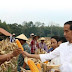 Jokowi Presiden For Rakyat, Kawasan Hutan 12,7 Hektare untuk Perhutanan Sosial
