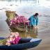 Water lily season on Long An flood fields
