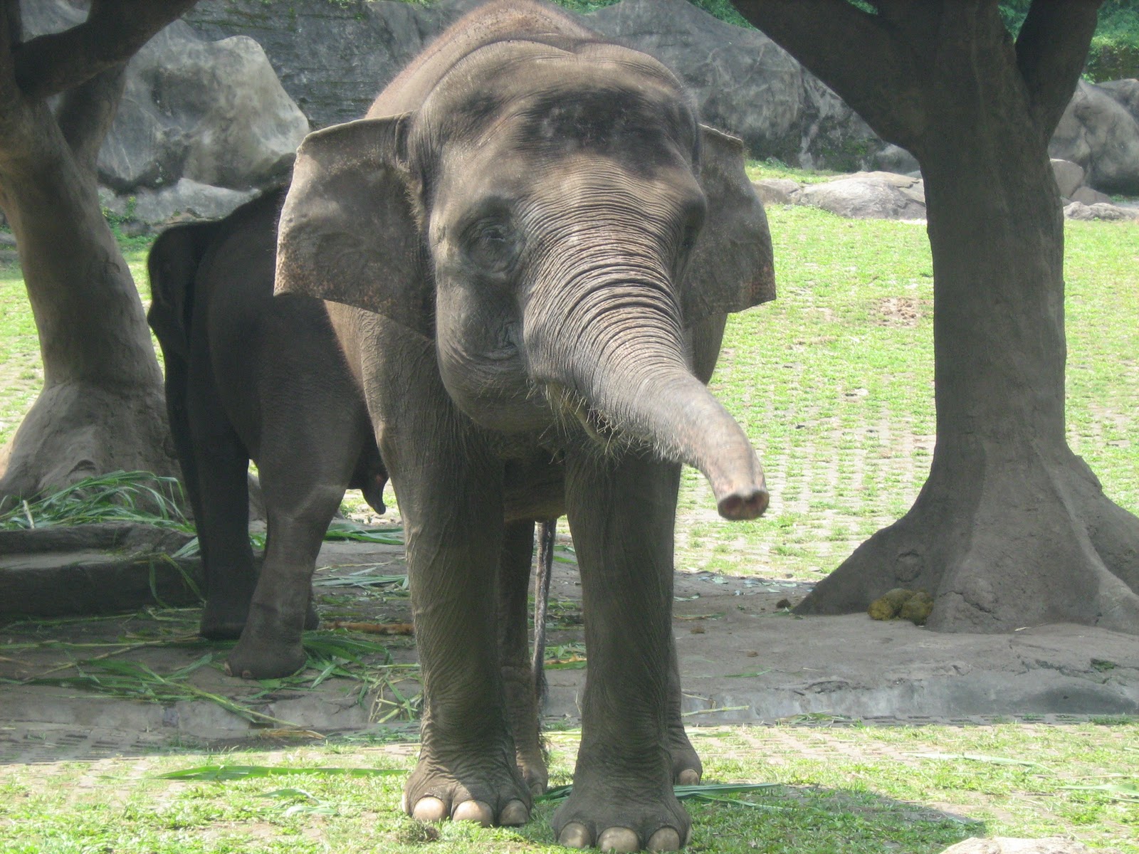 Taman Safari @ Malang, Jatim. | JAF Picture