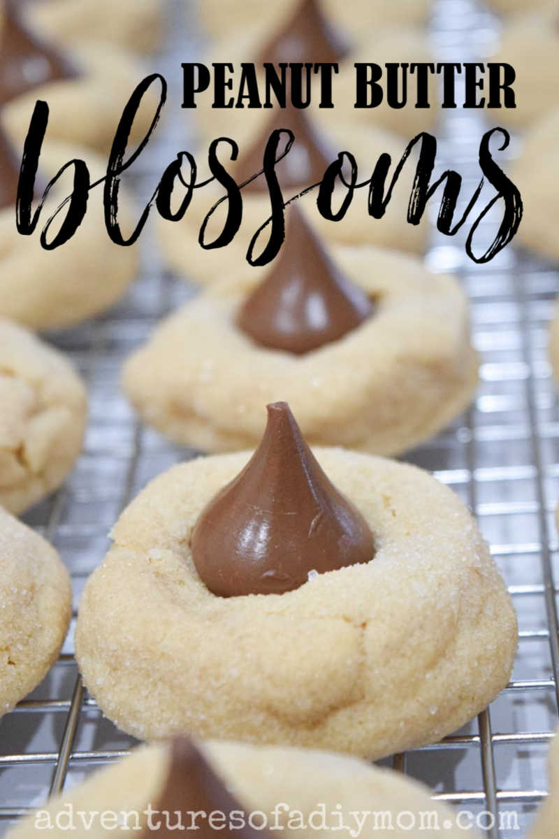 Peanut Butter Kiss Cookie Adventures of a DIY Mom