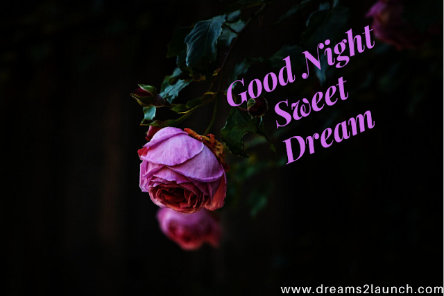 good night love images good night love images